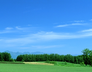 自然风景外景-ID:650505075