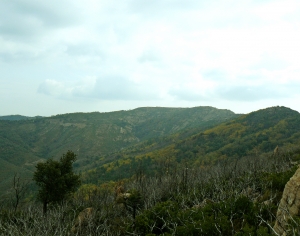 自然风景外景-ID:219815974