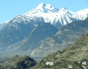 自然风景-ID:809794907