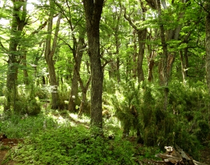 自然风景-ID:635616061