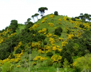 自然风景-ID:677023899