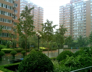都市外景-ID:501485113