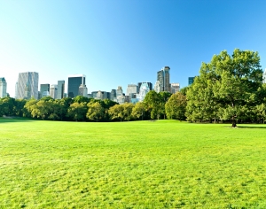 都市外景-ID:141863117