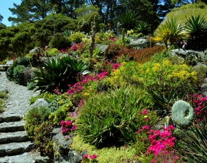 自然风景-ID:900643114