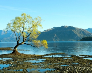 自然风景-ID:503010798