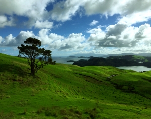 自然风景-ID:136728057