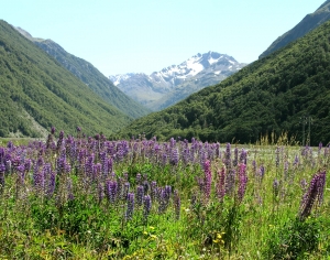 自然风景-ID:728471047