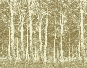 New Chinese StyleChinese Style Wallpaper