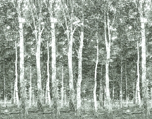 New Chinese StyleChinese Style Wallpaper