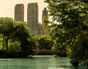 ModernOther Exterior Scenes