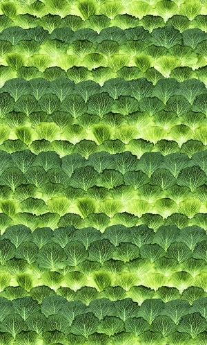 ModernModern Wallpaper