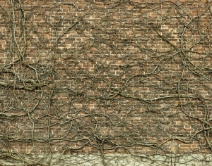 ModernStone Brick Wall