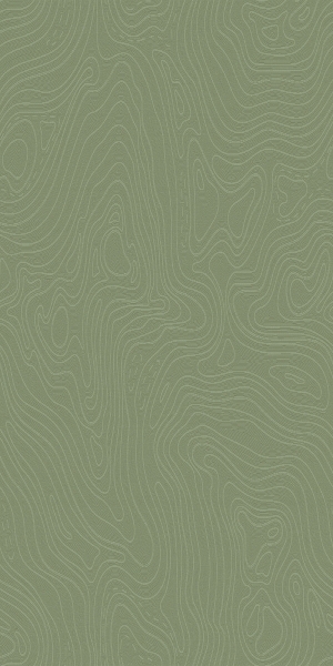 现代壁纸-ID:893277883