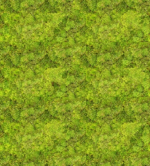 现代植物壁纸-ID:508968119