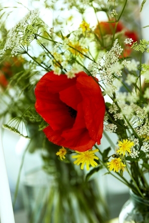 ModernPlaid Wallpaper