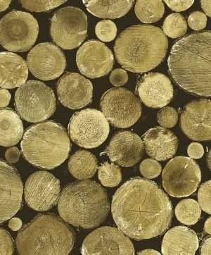 ModernOther Wood Textures