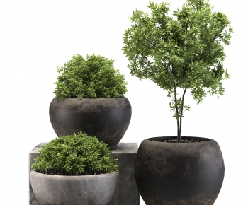 现代黑色花瓶落地绿植盆栽组合-ID:824395905