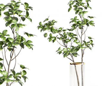 Modern Aquatic Green Plant-ID:664187913