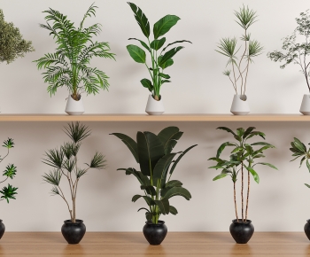 Modern Ground Green Plant Potted Plants-ID:901971104