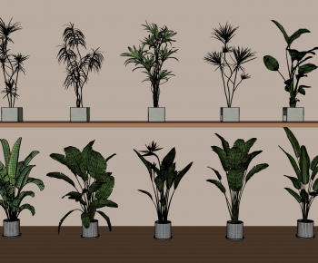 Modern Ground Green Plant Potted Plants-ID:415106062