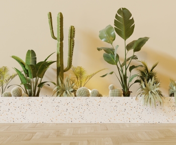 Modern Flower Bed, Flower Bowl, Flower Box-ID:861896041