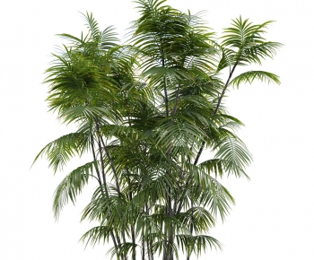 Modern Shrubbery-ID:663099381