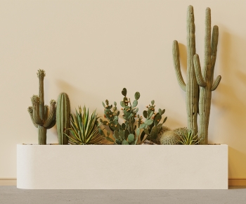 Modern Flower Bed, Flower Bowl, Flower Box-ID:981586936