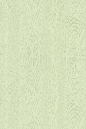 ModernWood Texture
