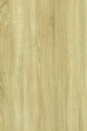 ModernWood Texture