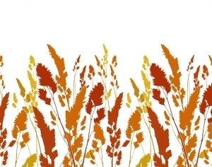 ModernModern Wallpaper