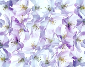 ModernModern Wallpaper