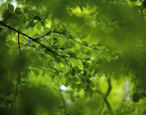 ModernModern Wallpaper