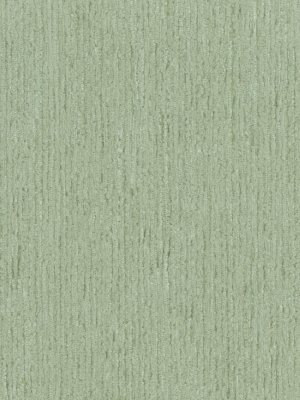 ModernWood Texture