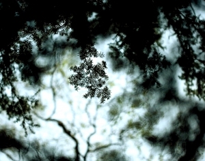 ModernModern Wallpaper