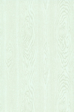 ModernWood Texture