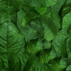 ModernModern Wallpaper