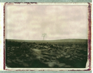 ModernModern Wallpaper