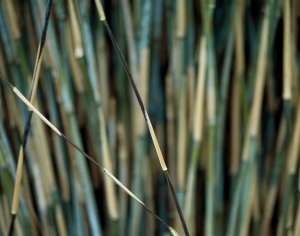 ModernModern Wallpaper