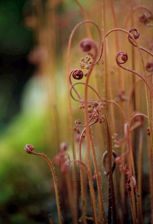 ModernModern Wallpaper