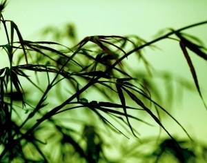 ModernModern Wallpaper