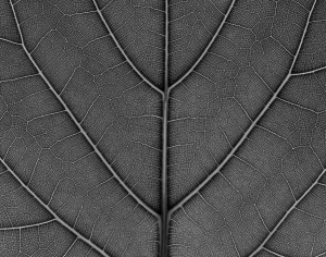 ModernModern Wallpaper