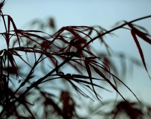 ModernModern Wallpaper