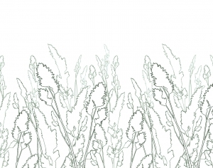 ModernModern Wallpaper