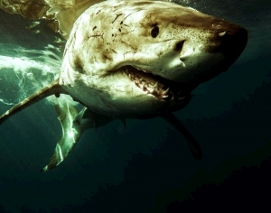 ModernModern Wallpaper