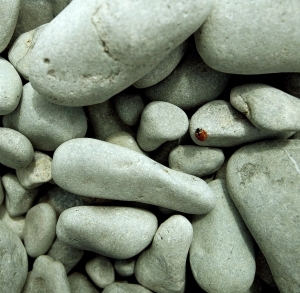 ModernModern Wallpaper