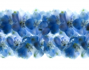 European StyleEuropean Style Wallpaper