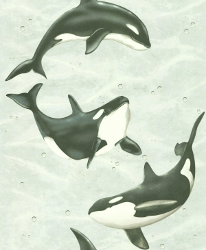 ModernChildren's Wallpaper