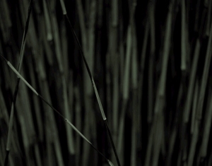 ModernModern Wallpaper