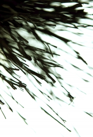 ModernModern Wallpaper