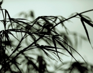 ModernModern Wallpaper